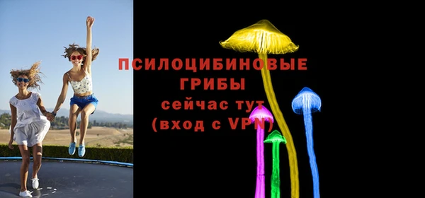 spice Вяземский