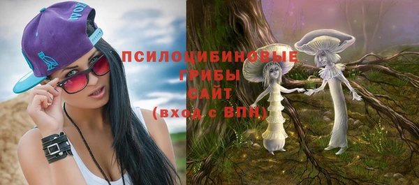 гашик Абдулино