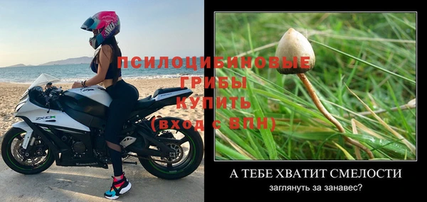 круглые Абаза